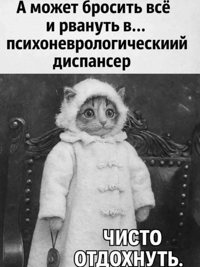 Веселые картинки в пятницу (20.02)