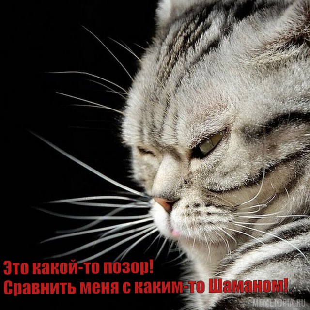 «Мозгов меньше, чем у кота»: Журналист Отар Кушанашвили признался, что ему жалко певца SHAMAN