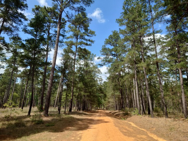 Выбираю велосипед для прогулок