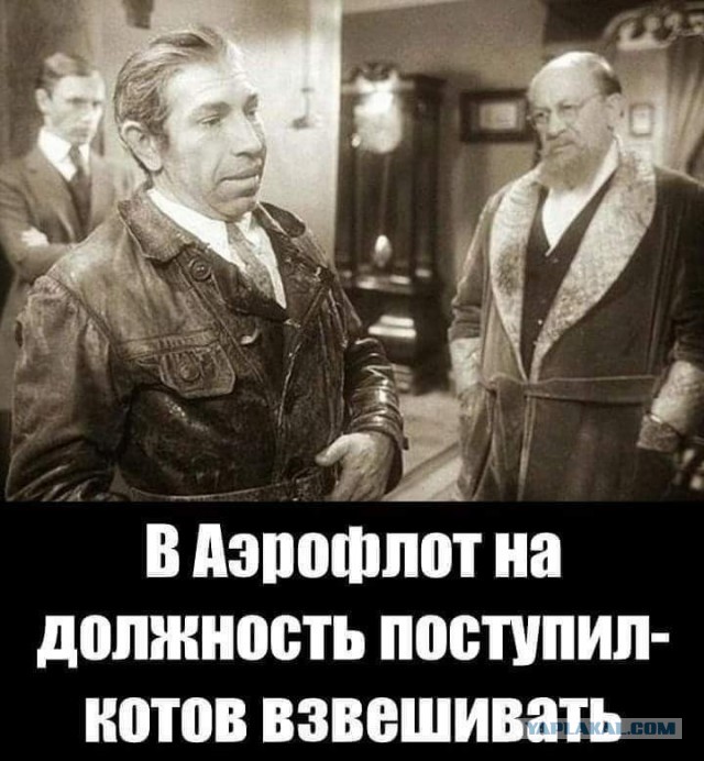В Воронеже самозанятую обвинили в мошенничестве из-за сокрытия 168 рублей