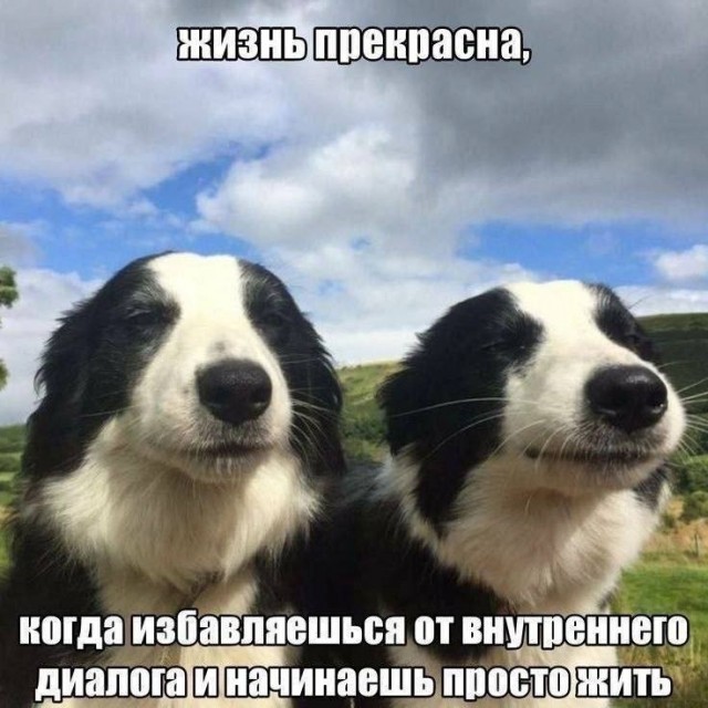 Веселые картинки в пятницу (10.07)