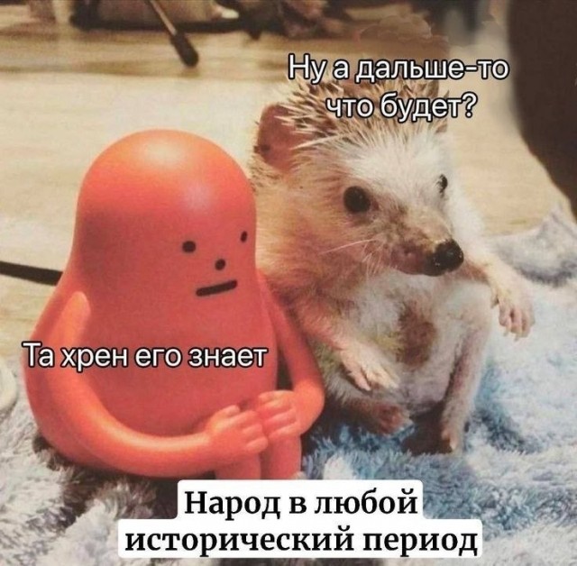 Картинки для деградации 242 (разной степени свежести)