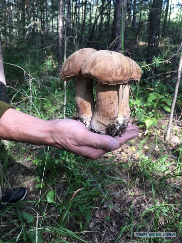 Двое, поэтический батл