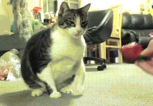 Да убери ты от меня эту гадость!