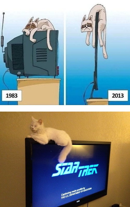 Разрушитель мифов