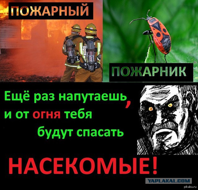 Пожар, ахтунг, алярм!