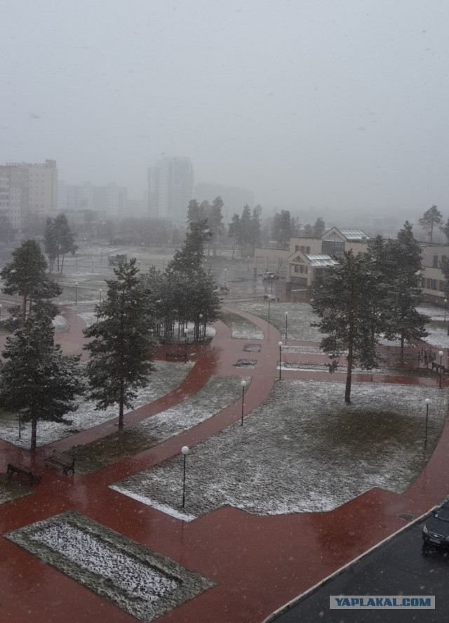 Вид из окна на вашей работе