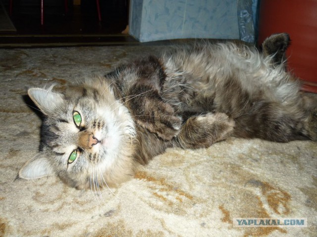 Вспомним лето! Вылазка за грибами.