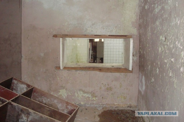 Выходные на свежем воздухе