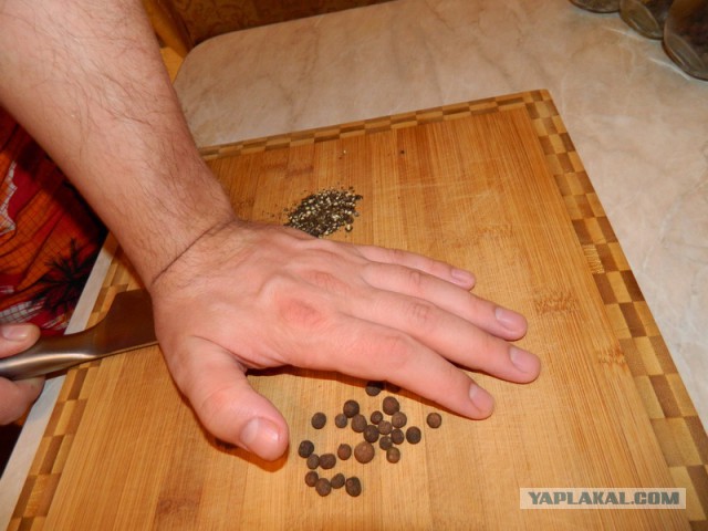 Домашний сацебели