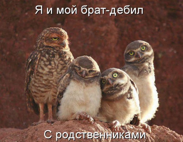 20 кадров, в которых мы невольно узнаём самих себя