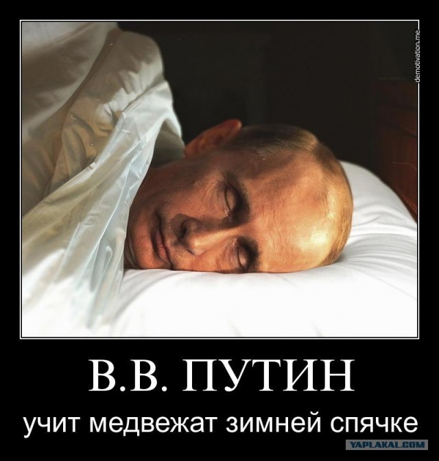 Путин на страже