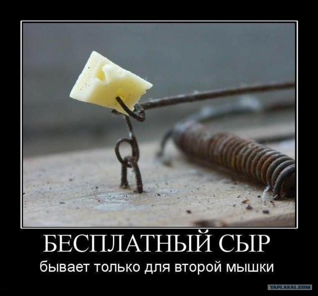 Сыроварня Петра Пригары