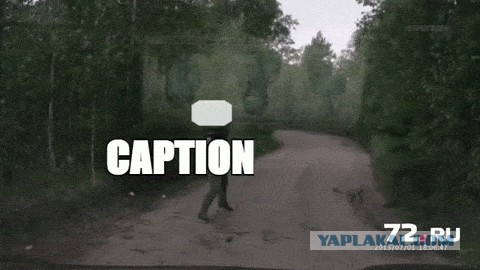 Напал с топором в лесу