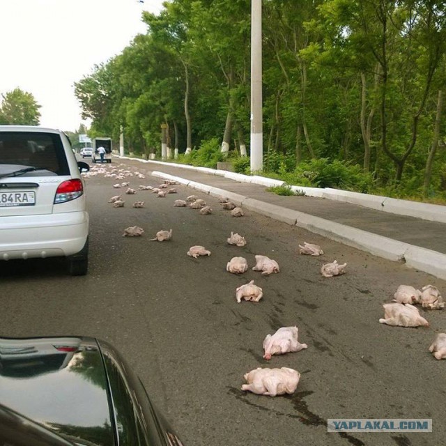 Девушки вне возраста: не верят, сколько мне лет