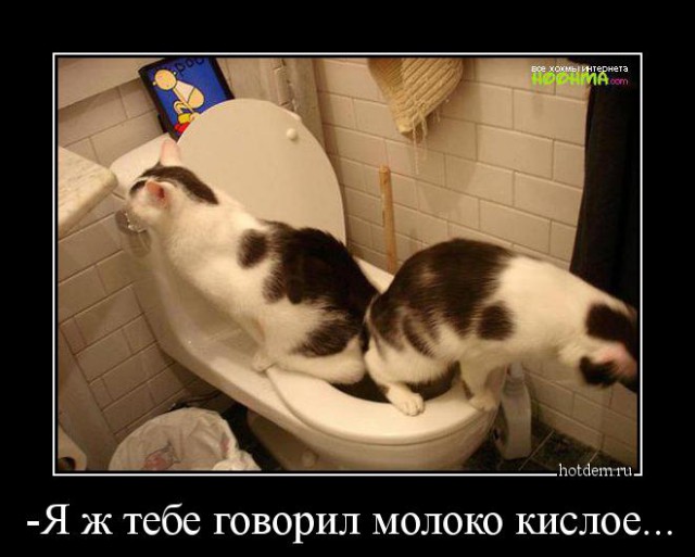Демотиваторы на Субботу