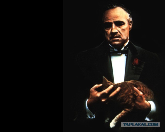 Фото актеров и музыкантов, из которых харизма плещет через край