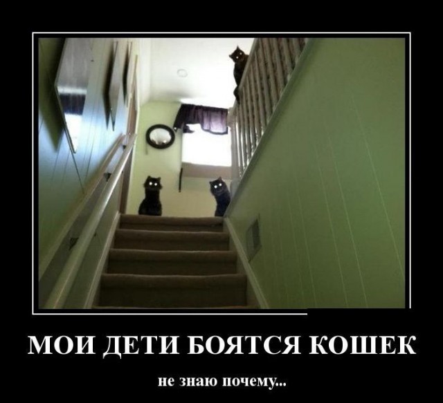 Позитивная подборка демотиваторов