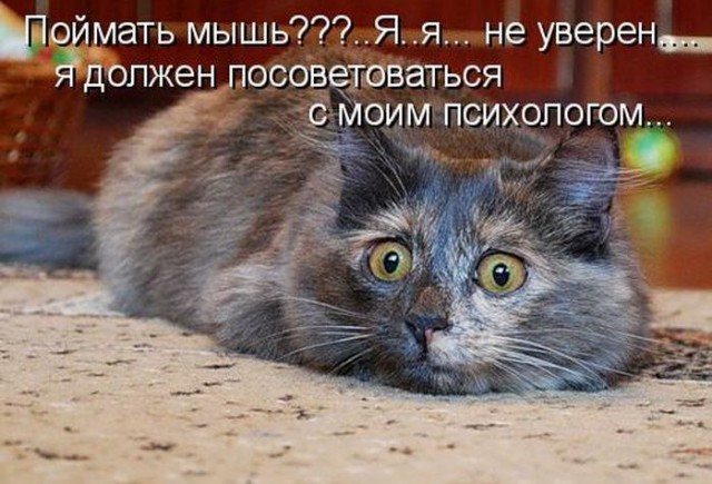 Как мы лечили Синдром дефицита внимания, или как нас доил психолог