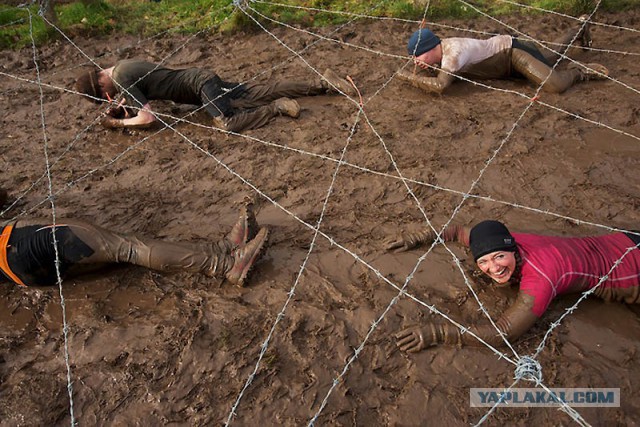 Начальник физической подготовки ВДВ Рязанская область