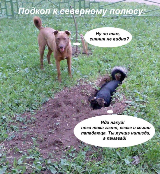 Фотожаба: да здесь где-то недалеко!