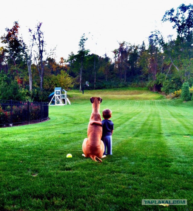 Подборка картинок ...