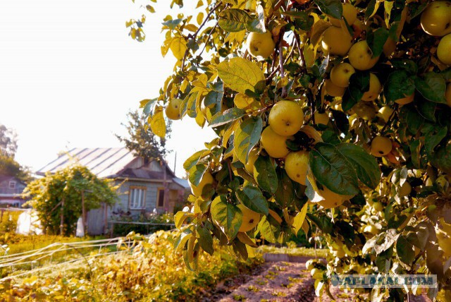 Подборка "тёплых, уютных, домашних" фотографий. Часть 9