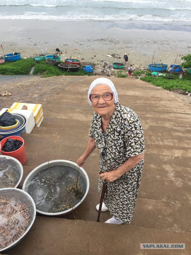 89-Летняя бабулька из Красноярска путешествует одна, во Вьетнаме и не только...