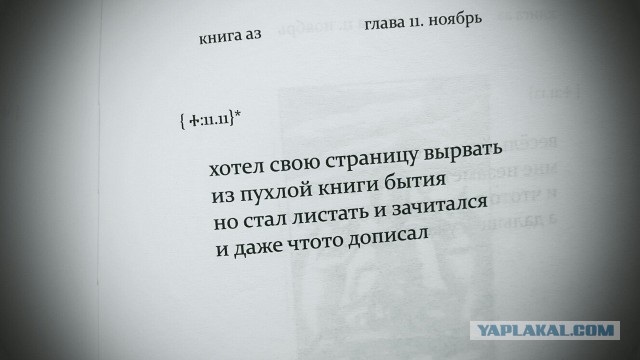 Смешные комментарии из социальных сетей 11.11.2016