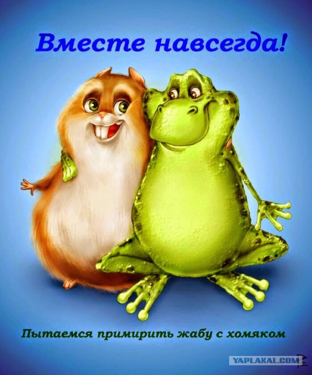 Вейперский клуб - 5