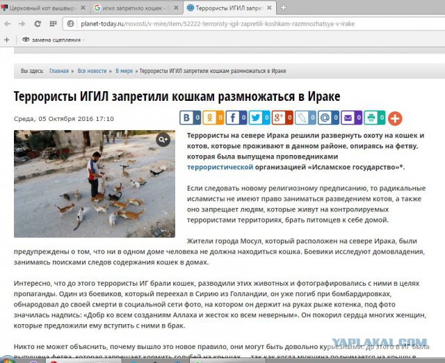 Церковный кот вышвырнул младенца–Христа из яслей