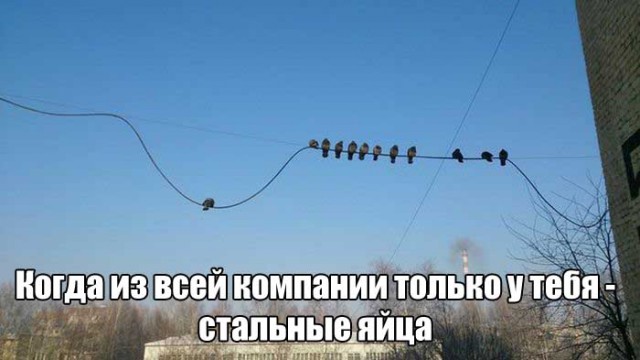 Приколы всякие