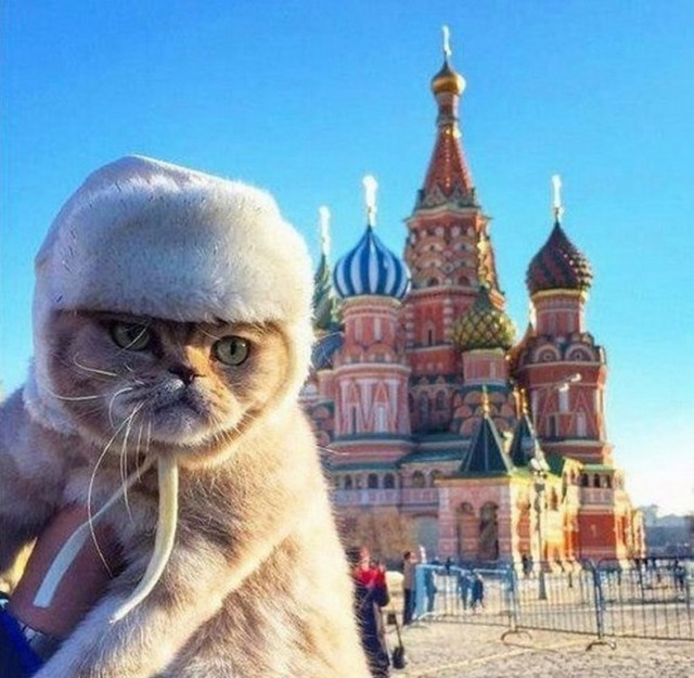Подборка картинок