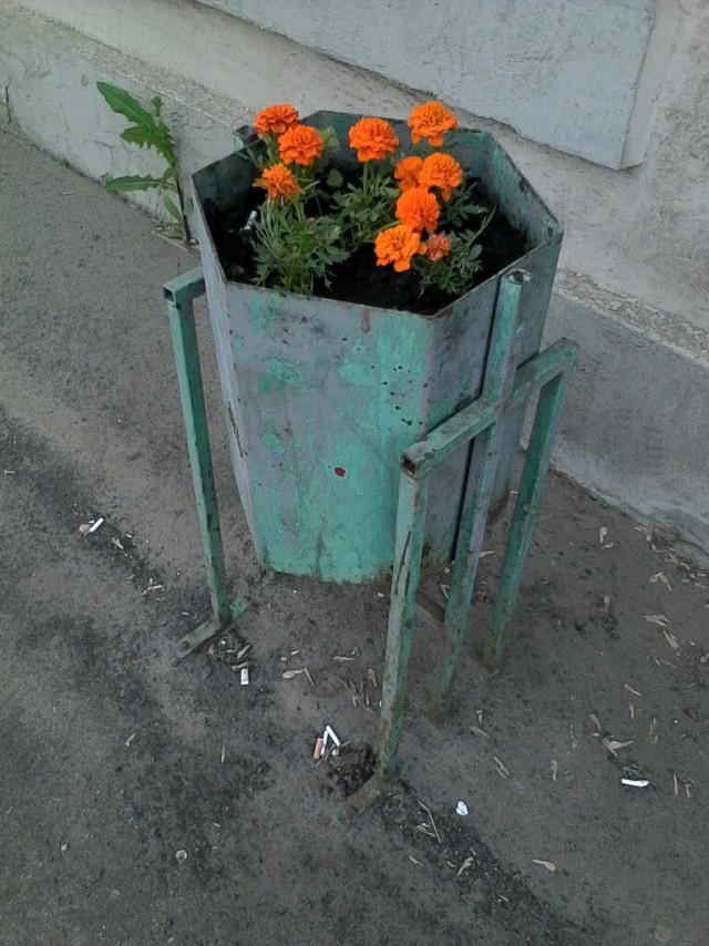 Пятничные ерундушки