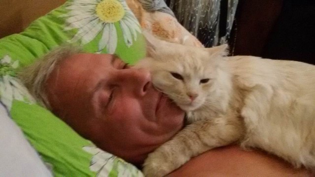 Котовторник 30.05.2017