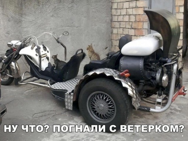 Нестандартный юмор
