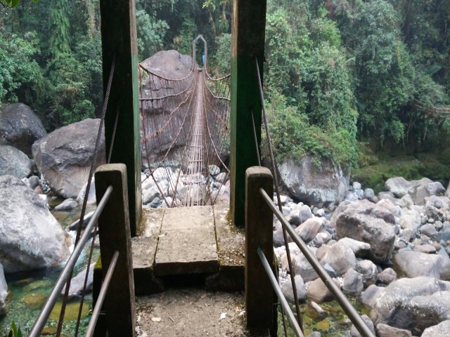 К живым мостам и обратно. Заметки из Индии