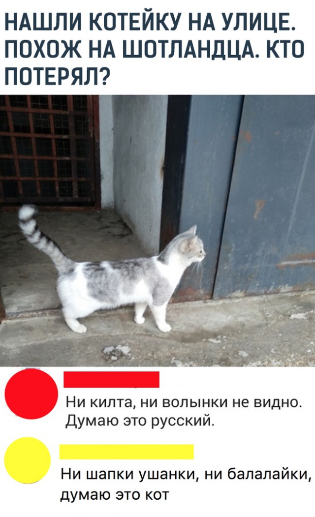 Прикольные комментарии и высказывания из Сети 09.01.2019