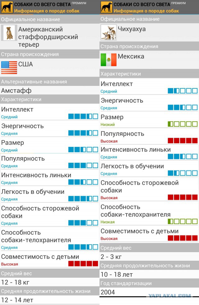 НЕ реклама зоомагазина