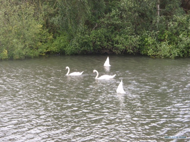 Улыбнитесь,они старались