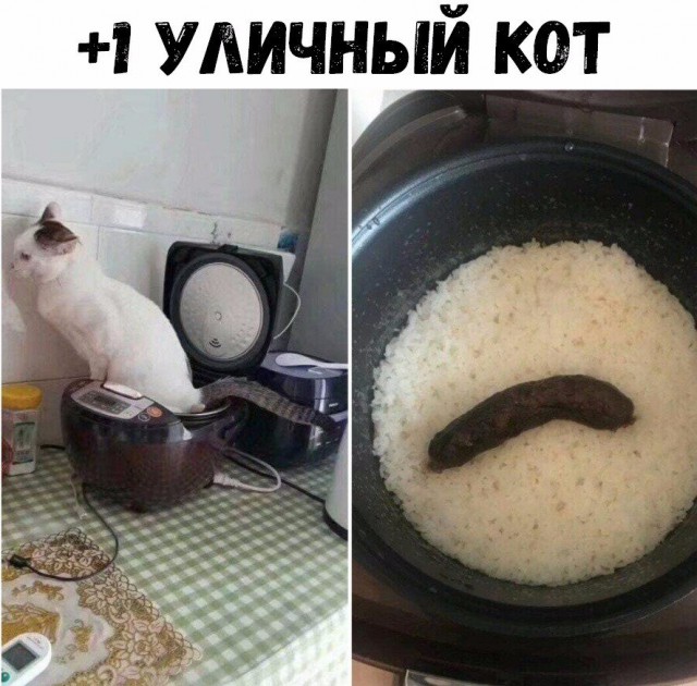 Нестандартный юмор