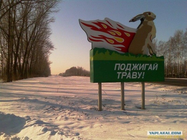 Не поджигай траву