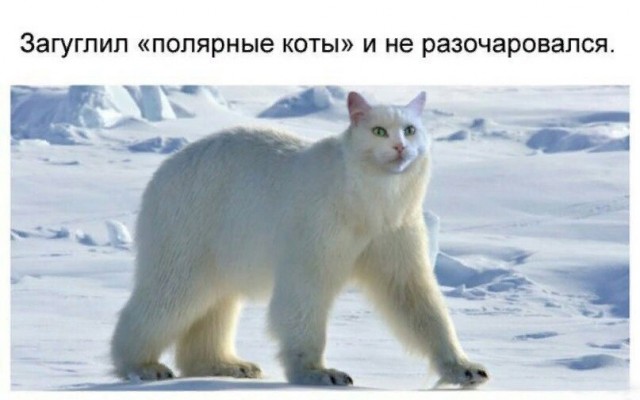 Бредзона 09.05.20