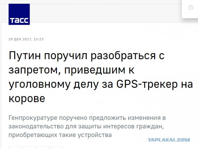 ФСБ обвинило новосибирца в сбыте шпионских устройств из-за двух GPS-трекеров для собак. Они свободно продаются в магазинах