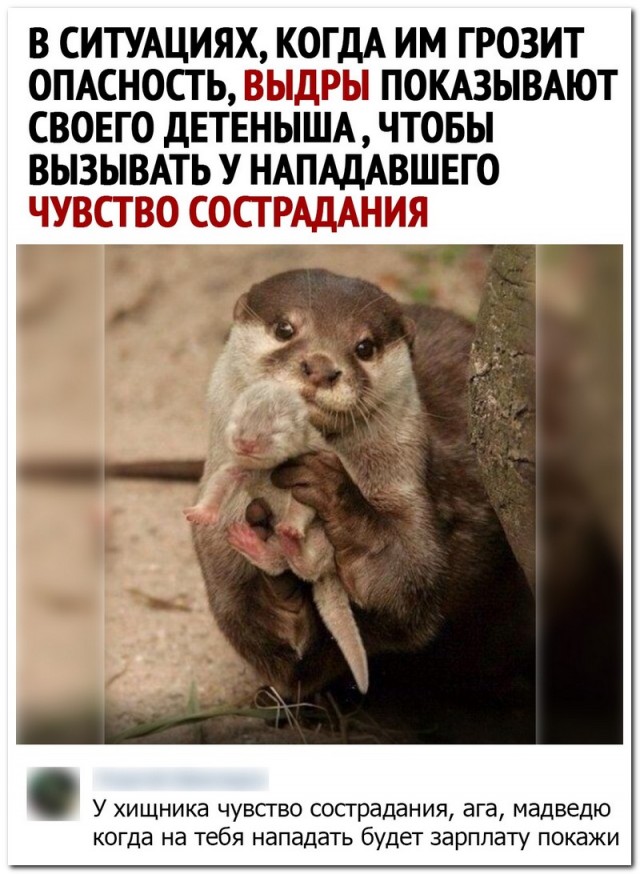 Москва - город женщин в поисках любви (немного соплей)