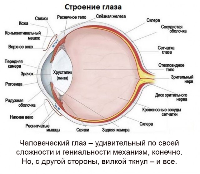 Бредзона 03.03.2021