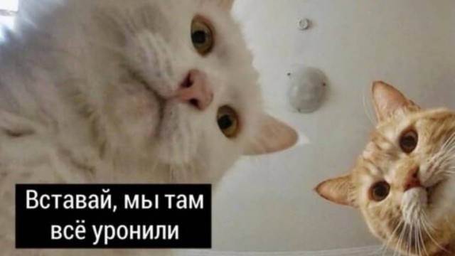 В Херсоне упавший флагшток раздавил Лексус