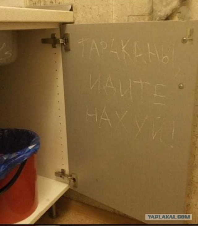 Так себе картинки 02.11.21