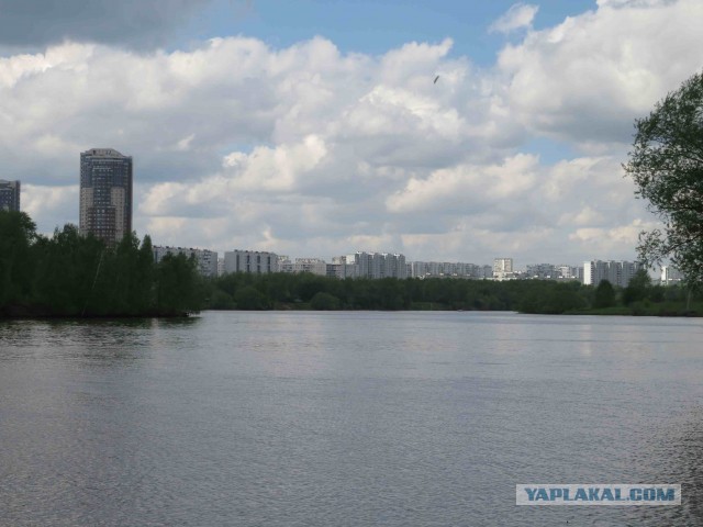 Течёт река Химка