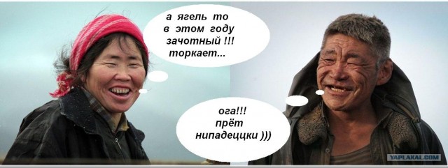 Путешествие на Чукотку.